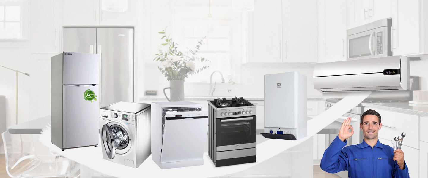 Dinar Philips Servisi